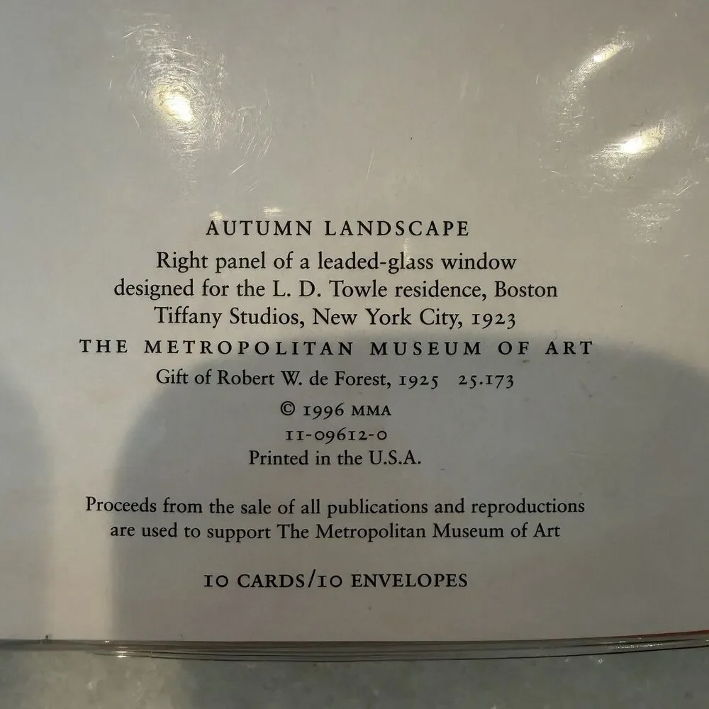 Set Of 10 Vtg Notecards Metro Museum Of Art Blue Stained Glass Autumn Landscape